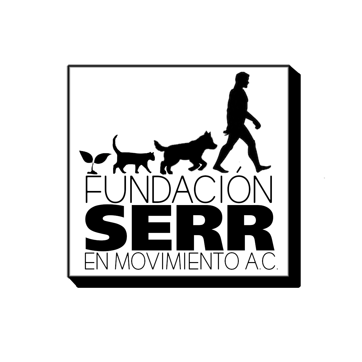 XPRESS Impresores XPRESS Impresores